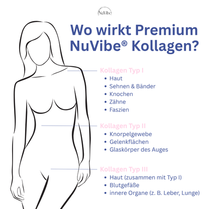 No.1 - Premium NuVibe® Kollagen Pulver