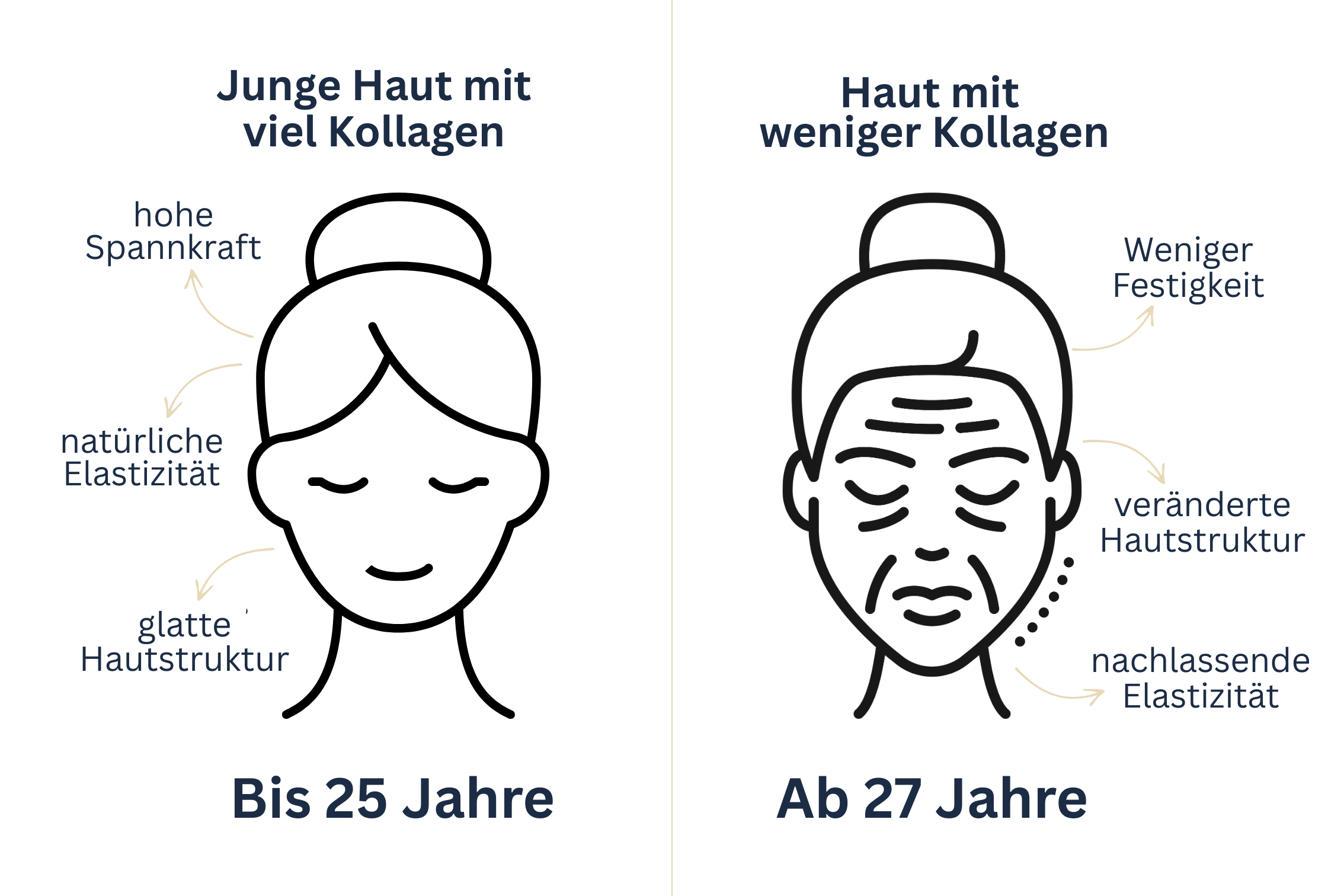 Wirkung_Haut_Kollagen